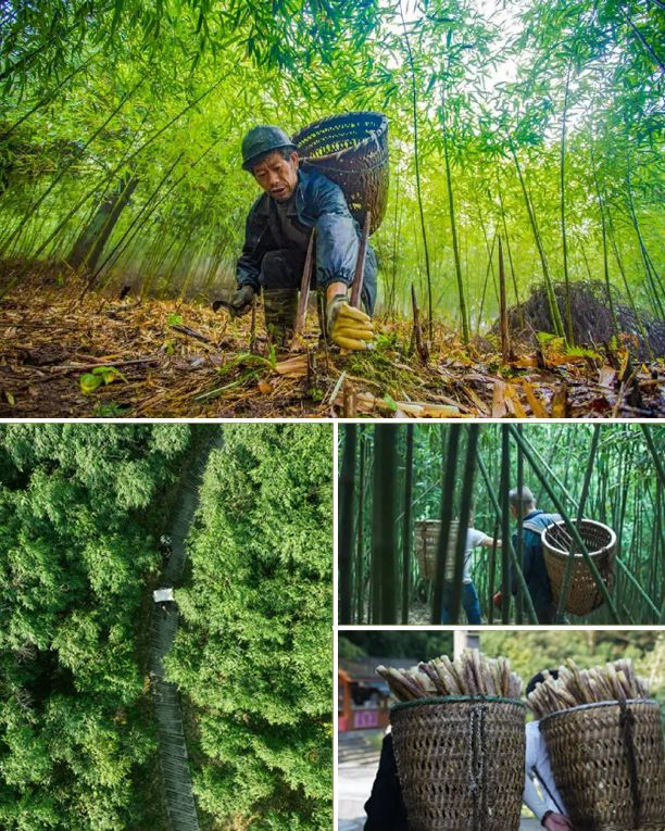 带头火锅猛推“非遗”食材！麻将胡了试玩海底捞、珮姐等(图7)